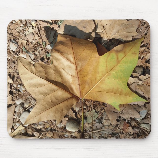 pebbles and leaves mouse pad (Front)