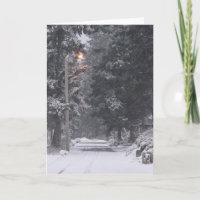 Pebbles Beach Winter Scene 1