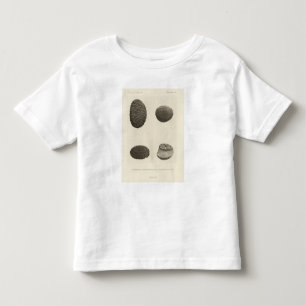 Pebbles carved by sand, Colorado River Toddler T-shirt
