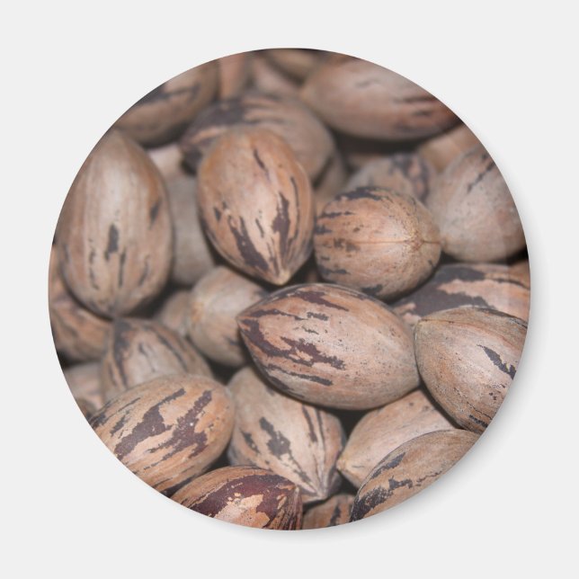 Pecan Magnet (Front)