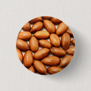 Pecan nuts 1 inch round button