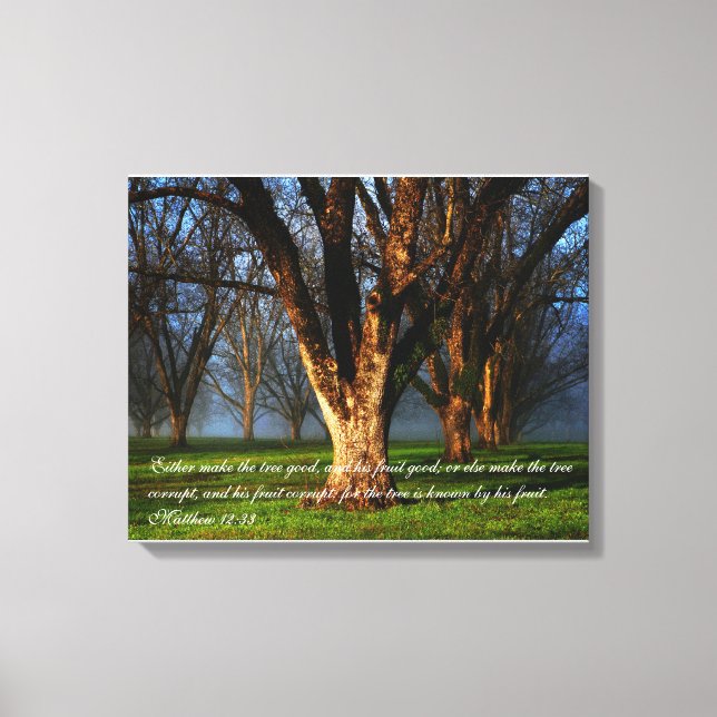 Pecan Orchard - Matthew 12:33 Canvas Print (Front)
