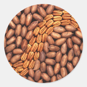 Pecans Classic Round Sticker