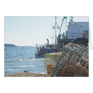 Pêche de homard dans le port de barre