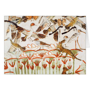 Pêche et chasse aux oiseaux dans les marais