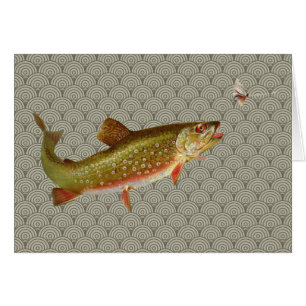 Pêche vintage à la truite arc-en-ciel
