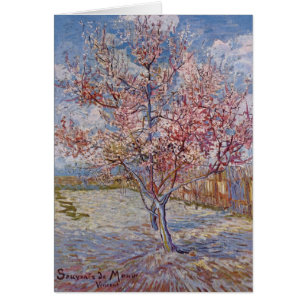 Pêcher rose dans la fleur (réminiscence de mauve)