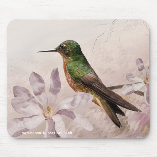 Pechicastaños Mousemat Mouse Pad (Front)