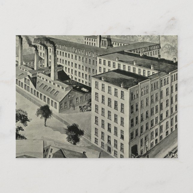 Peck Bros & Co Postcard (Front)