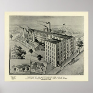 Peck Bros & Co Poster