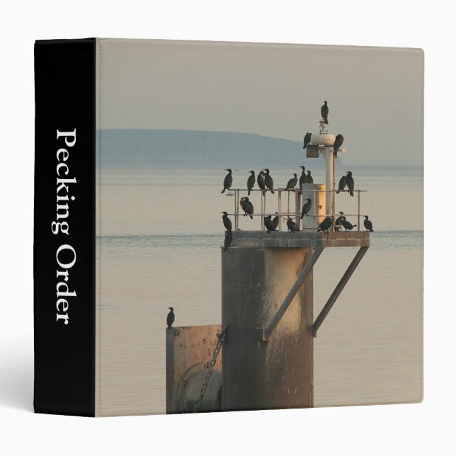 Pecking Order (1.5in) Binder (Front/Spine)