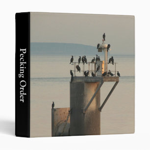 Pecking Order (1in) Binder