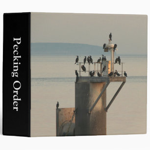 Pecking Order (2in) Binder