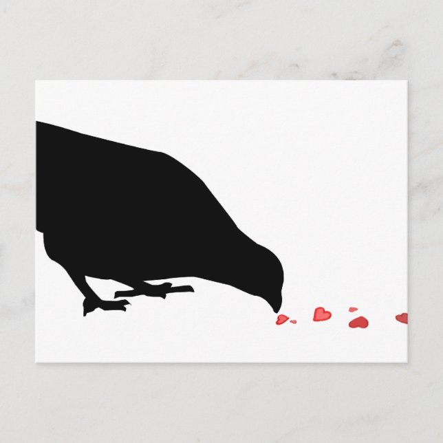 pecking order. postcard (Front)