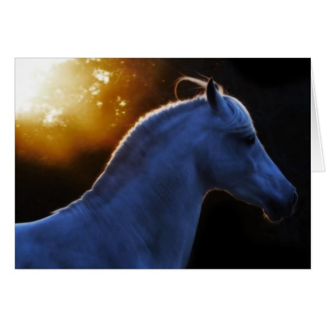 Pecos Dans La Lumière Du Soir (Devant horizontal)