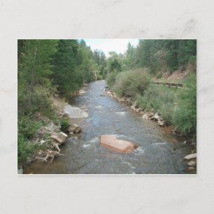 Pecos River, Santa Fe National Forest, New Mexico Postcard