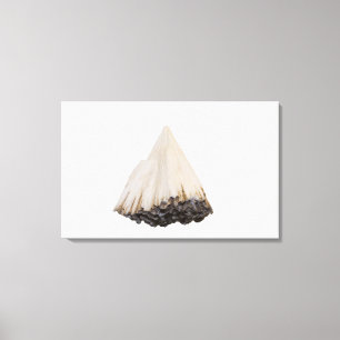 Pectolite crystals, New Jersey, USA Canvas Print