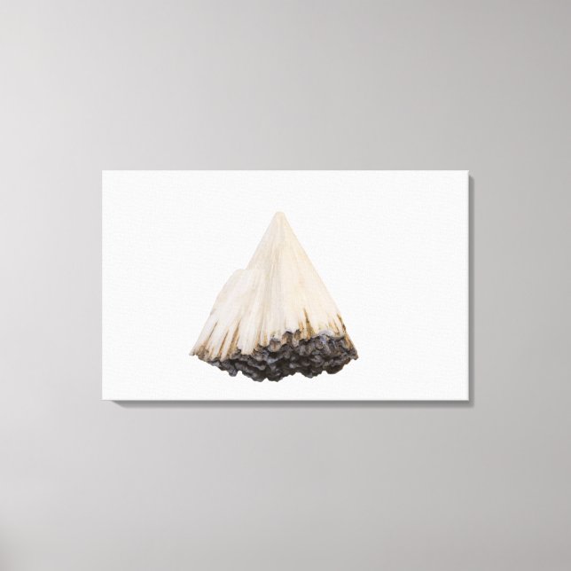 Pectolite crystals, New Jersey, USA Canvas Print (Front)