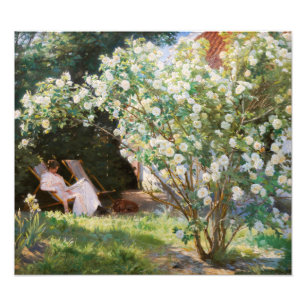Peder Severin Kroyer - Roses Photo Print