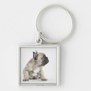 Pedigree puppy keychain