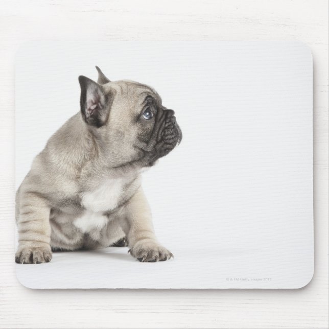 Pedigree puppy mouse pad (Front)