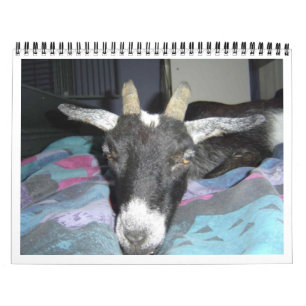 Pedro 2009 Calender Calendar