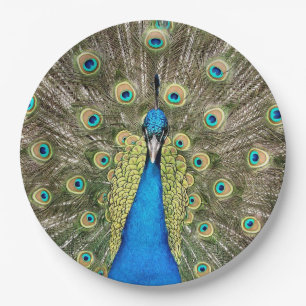 Pedro Peacock Feathers Colourful Wild Bird Peafowl Paper Plate