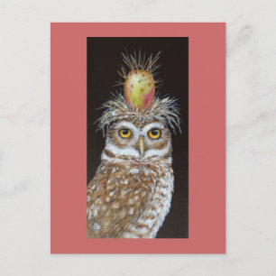 pedro the burrowing owl postcard