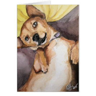 Pedro the Chiweenie