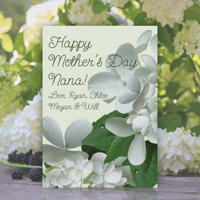 Pee Gee White Hydrangea Flowers Mothers Day Card (Creator Uploaded)