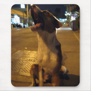 Pee Mai ... Soi Dog, Thailand Mouse Pad