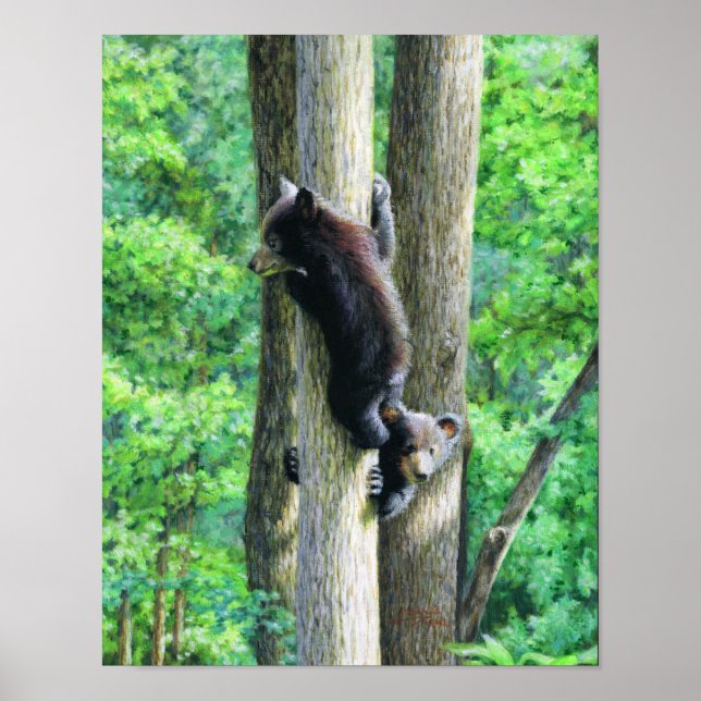 Peek-a-Bear Poster (Front)