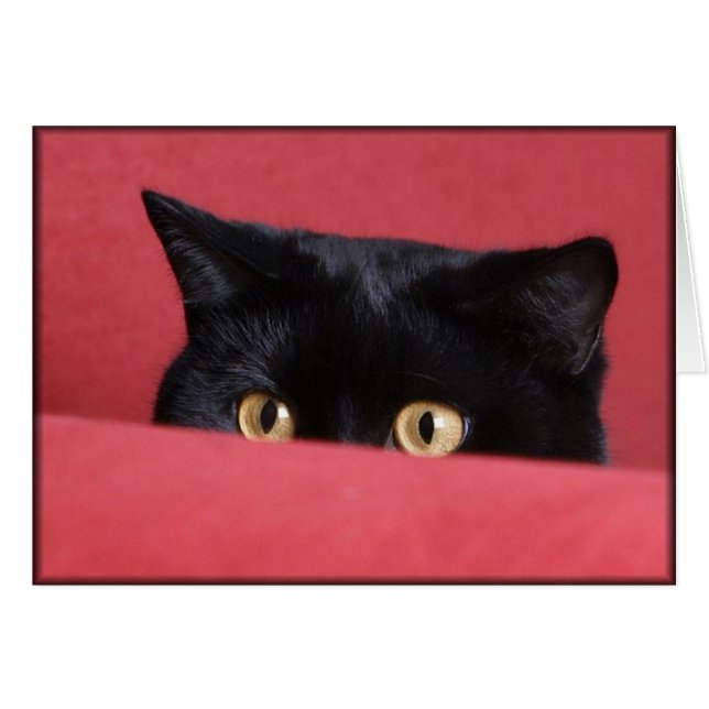 Peek-a-Boo (Devant horizontal)