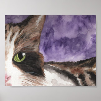 Peek a boo Calico Kitty Poster