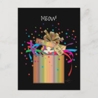 Peek-a-Boo Cat In a Box