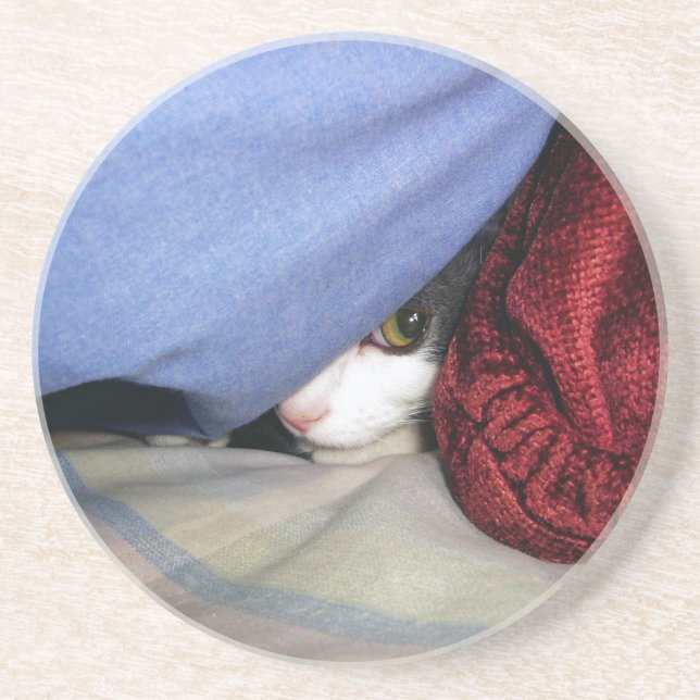 Peek a Boo Coaster (Front)