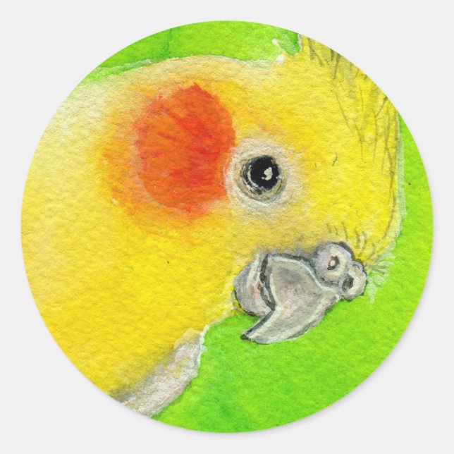 Peek-a-boo Cockatiel Classic Round Sticker (Front)