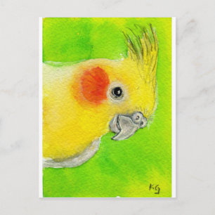 Peek-a-boo Cockatiel Postcard