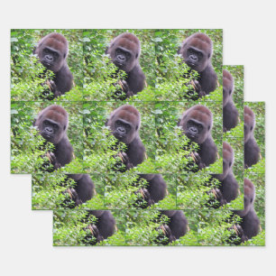 Peek-A-Boo Gorilla All Occasion Wrapping Paper Sheet