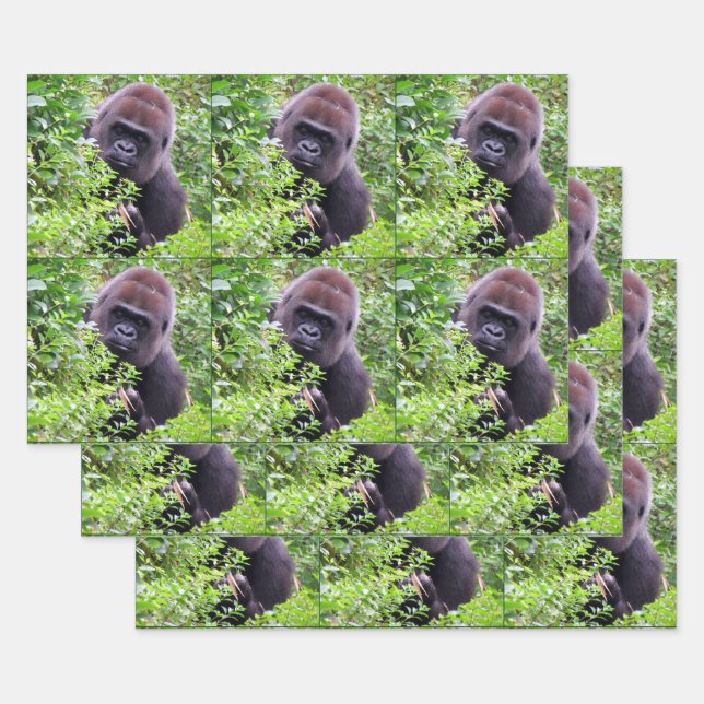 Peek-A-Boo Gorilla All Occasion Wrapping Paper Sheet (Set)