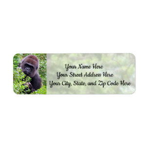 Peek-A-Boo Gorilla Étiquettes de adresse