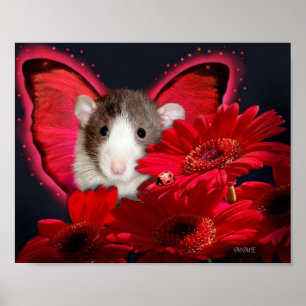 Peek-a-boo, I see you !  Poster