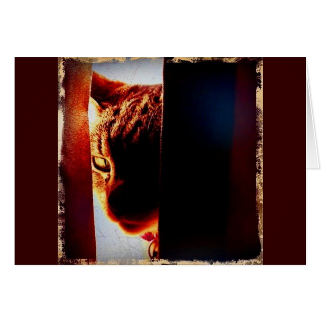 Peek-a-boo Indigo (Front Horizontal)