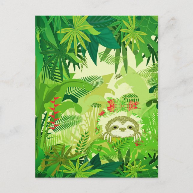 Peek a Boo Jungle Sloth Postcard (Front)