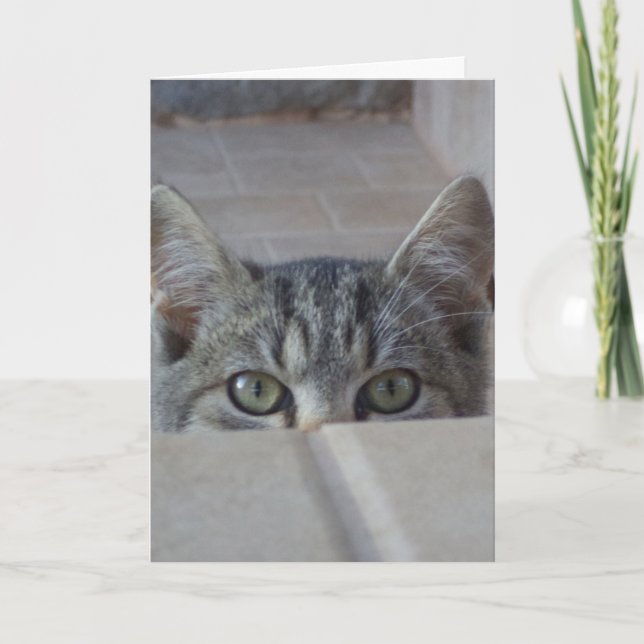 Peek-a-boo kitten blank card (Front)