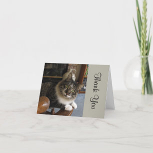Peek-a-Boo Kitty Remercier Carte Note