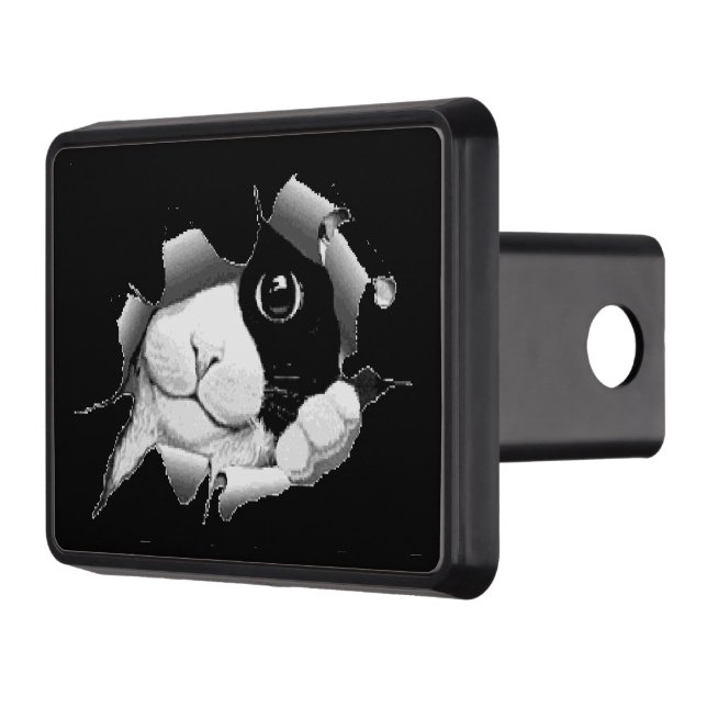 Peek a Boo Kitty Trailer Hitch Cover (Left)