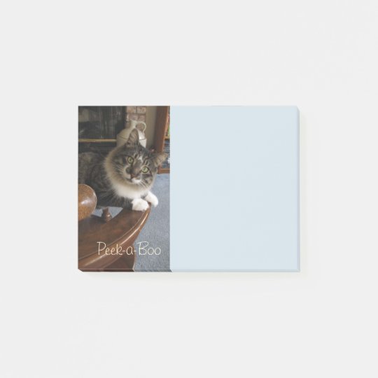 Peek-a-Boo Kitty Zorro Notes