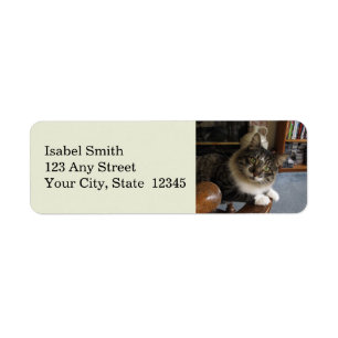 Peek-a-Boo Kitty Zorro Return Address Labels
