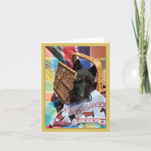 Peek-a-Boo Note Card